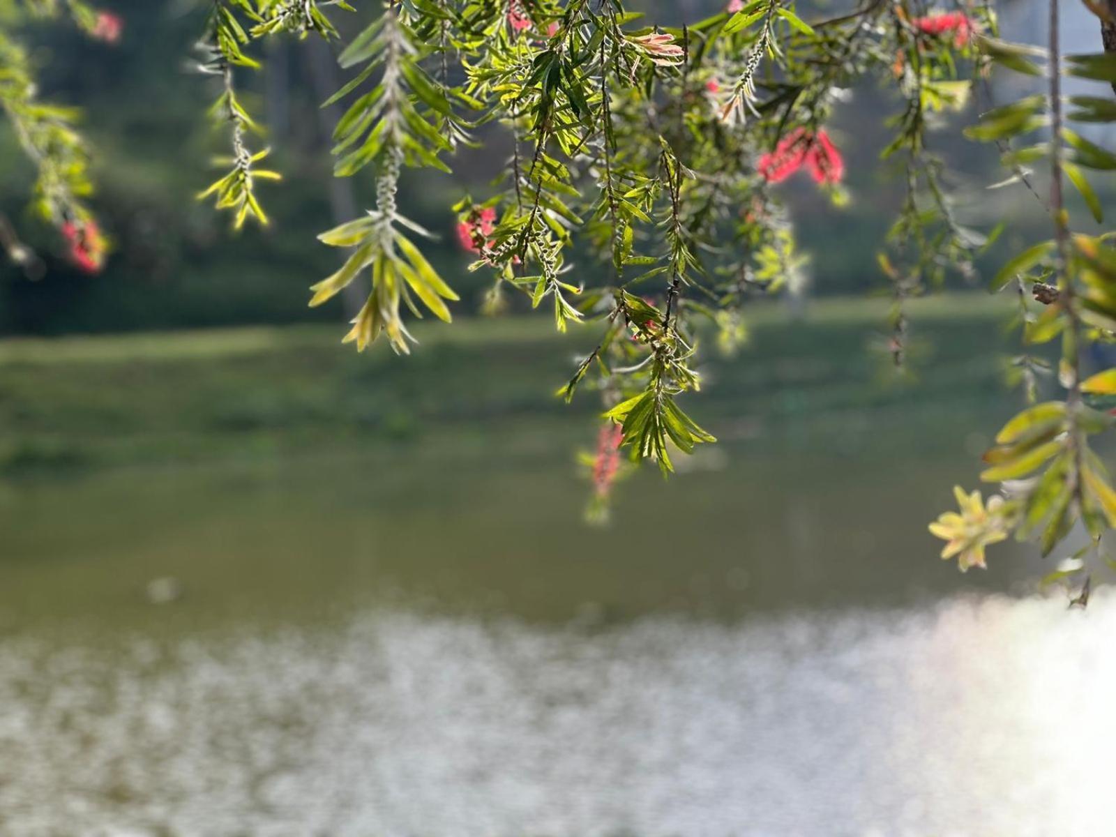 Lakeside Cottage By Clover ヌワラ・エリヤ エクステリア 写真