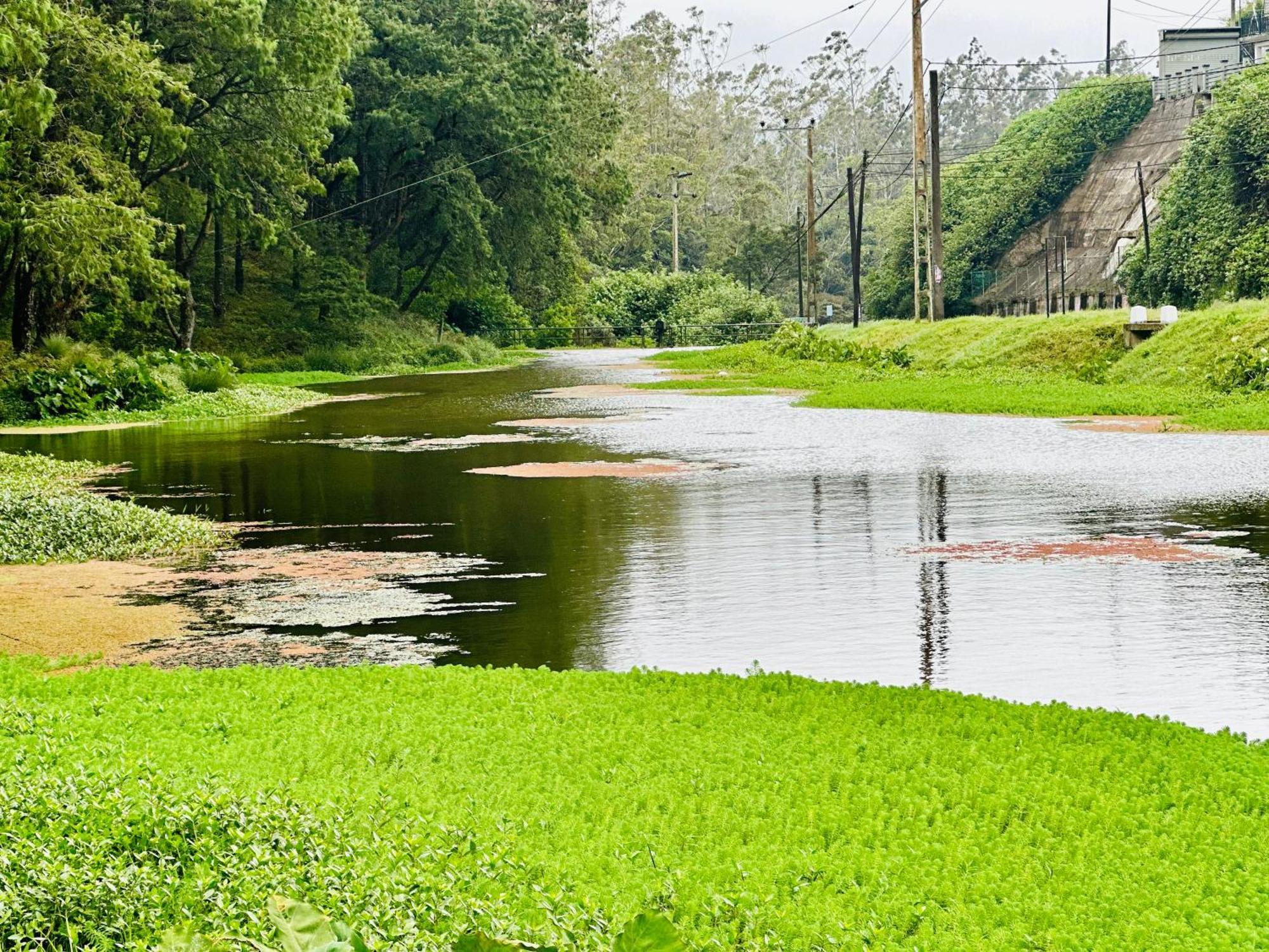 Lakeside Cottage By Clover ヌワラ・エリヤ エクステリア 写真